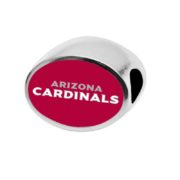 arizona-cardinals2