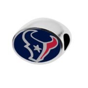 houston-texans-1 houston-texans-1