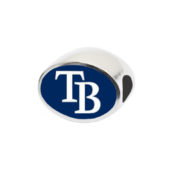 tampa-bay-rays-1